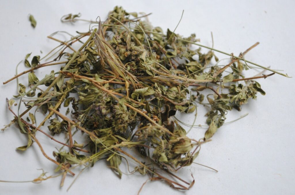 dried leaves